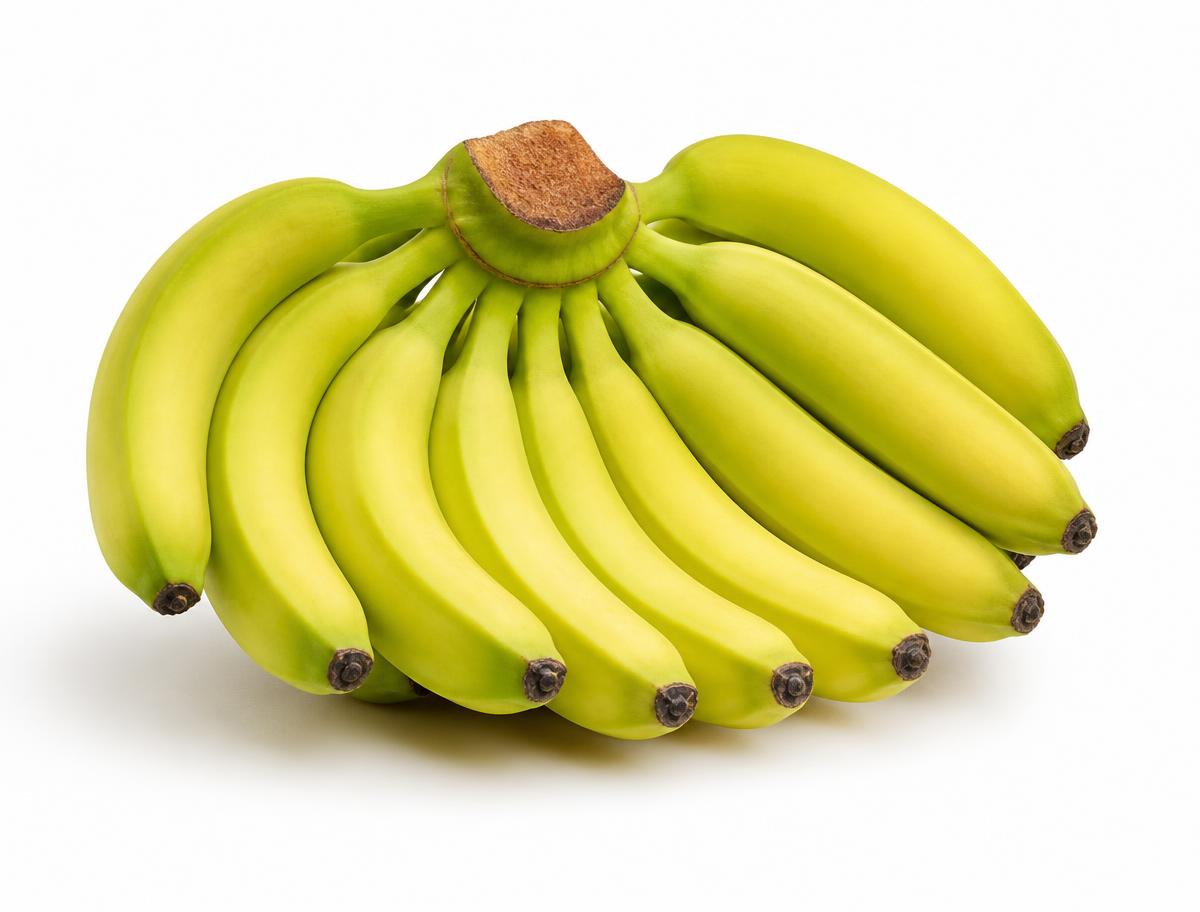 Fresh Cavendish G9 bananas for Bahrain export